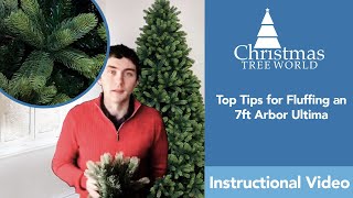 How to Fluff a 7ft Arbor Ultima | Christmas Tree World