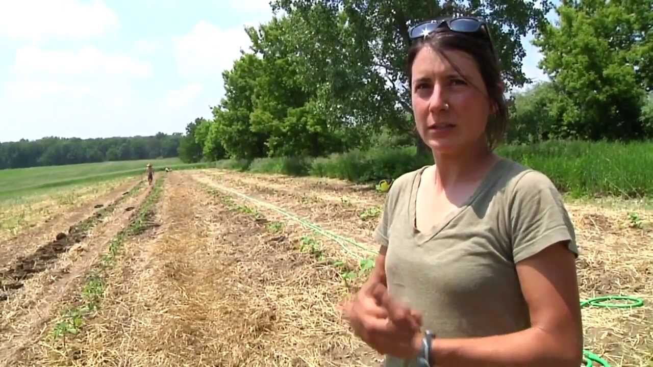 ELFCO TV 30: Foodshed Farm pt1