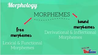 Différence entre phonologie et morphologie
