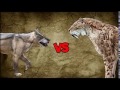 SABER TOOTH TIGER VS DIRE WOLF