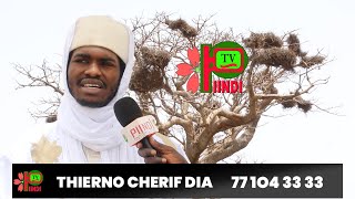 GANNDE BALEEBE THIERNO CHERIF DIA