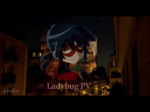 Ladybug PV Slowed Echo Version 