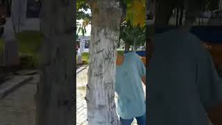 Mau Tau  Seperti Apa Desa Madigondo Magetan Jawa Timur Indonesia viral shorts pesonaindonesia