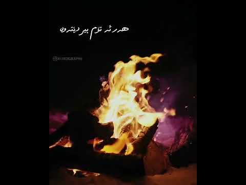 ناسر مەلایی دیسان شەو هاتەوە