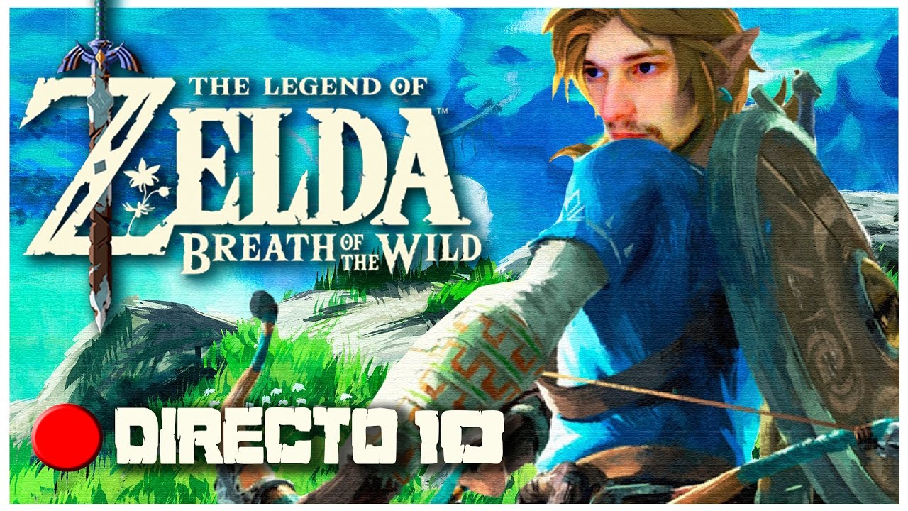 Link Oscuro Breath Of The Wild