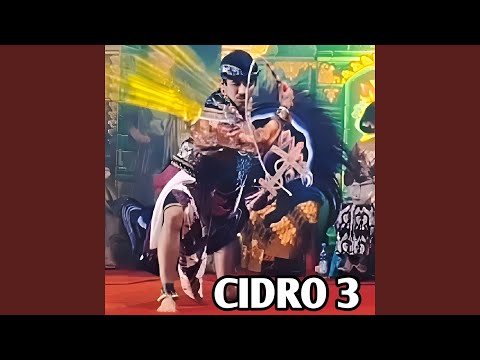 CiDRO 3