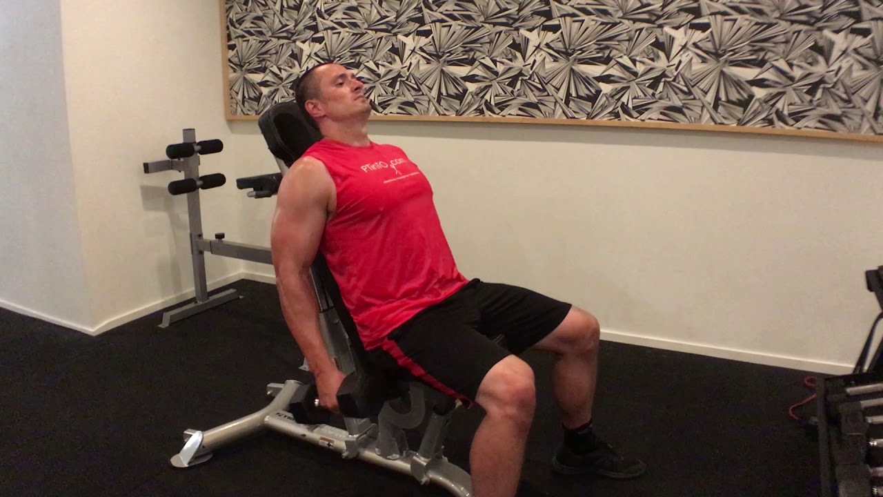 Best Biceps Exercise Videos