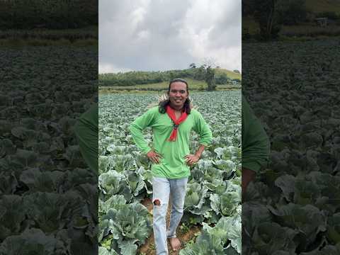 Pinaka Magandang Farm sa Mindanao | kingLuckss