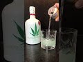 Cannabis Sativa Gin
