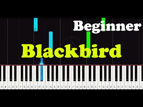 Blackbird (Piano) - The Beatles