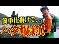 【ロックフィッシュ】ハタ釣りで爆釣！根魚が釣れまくる！後編