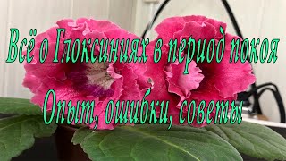 видео: Период покоя Глоксиний, выращенных из семян. Опыт, ошибки, советы. картинка: Период покоя Глоксиний, выращенных из семян. Опыт, ошибки, советы.