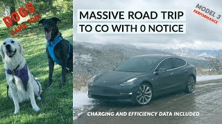 Model 3 Massive Spontaneous Road Trip Across the Country