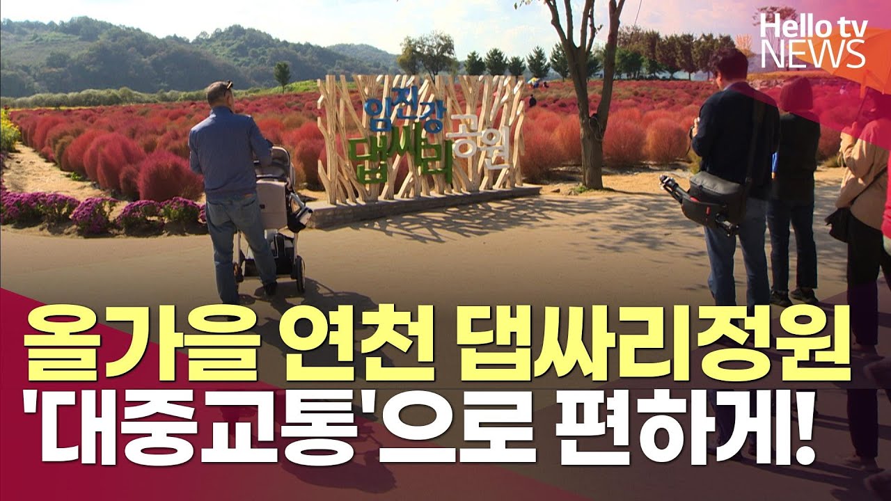 올가을 연천 댑싸리정원, '대중교통'으로 편하게!ㅣ#헬로tv뉴스