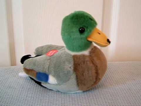 mallard toy