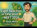 Light Reaction of Photosynthesis 🌞 | NEET 2026 Biology | NCERT + Advanced | Z-Scheme mase easy