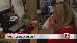Fall allergy season