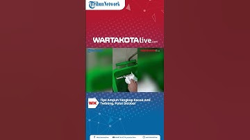 Life Hack, Tips Ampuh Tangkap Kecoa Anti Terbang
