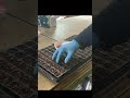 とうもろこし農家の種まきのコツ