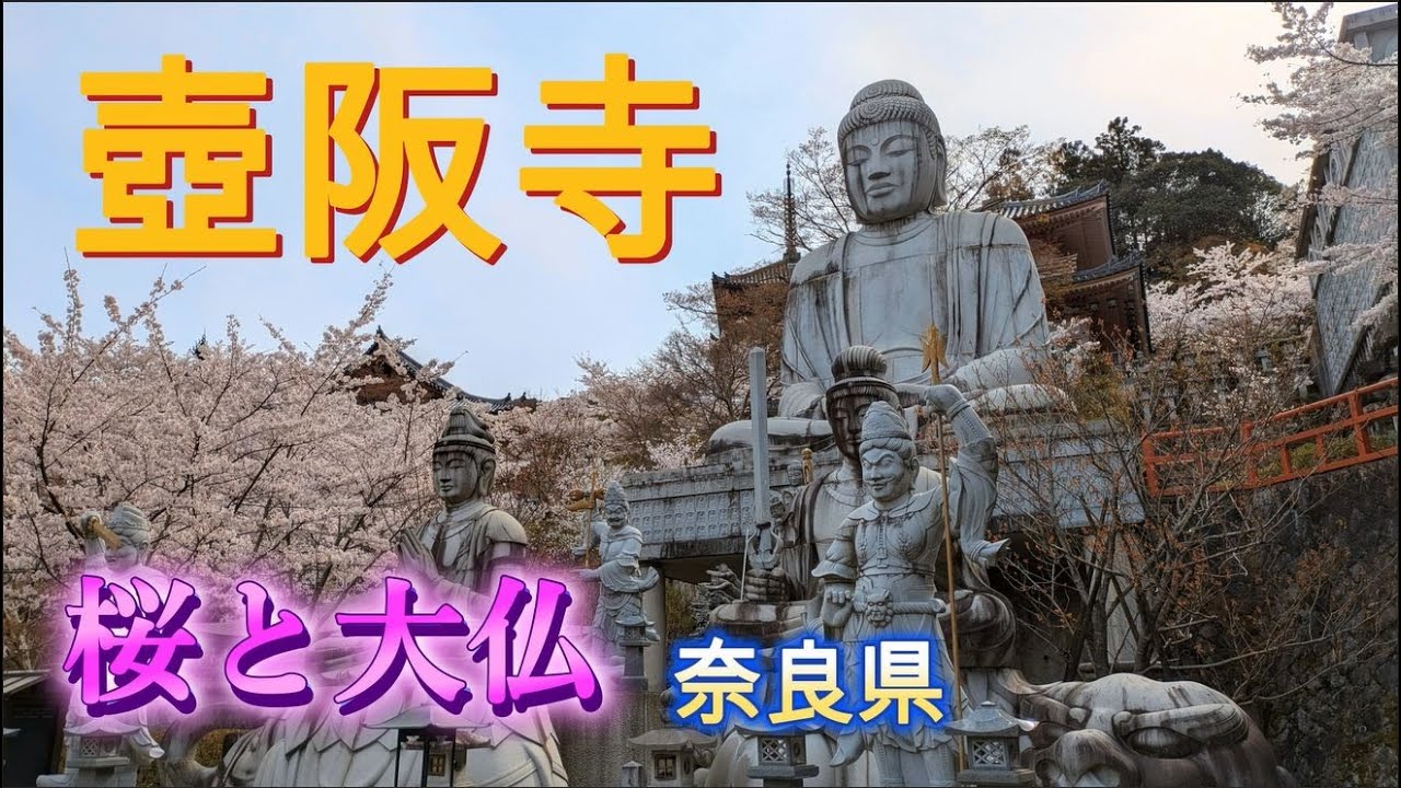 奈良県 壺阪寺 桜と大仏 眼病封じの寺 2025年4月