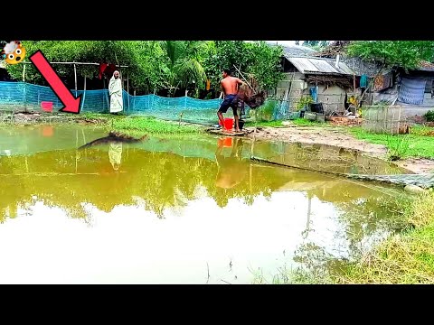 আকাশ বন্যার পরে পুকুরে ঝাঁকি জাল ফেলে মাছ ধরতে একটি ছেলে দেখুন village ...