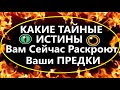 😱 ЭТО ШОК❗ВАШИ ПРЕДКИ РАСКРЫВАЮТ Вам ТАЙНУЮ СКРЫТУЮ  ПРАВДУ❗ Вивиена ясновидящая🧿🔮