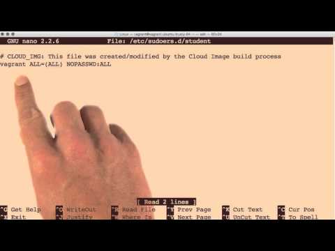 Giving Sudo Access