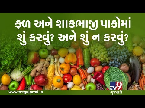 Dos and Don'ts in Vegetable and Fruit Crops  | Tv9Dharrtiputra