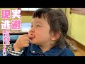 娘と旅に出ます！もう探さないで！！！！
