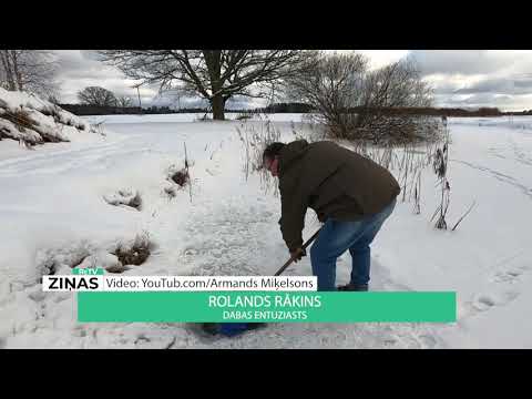 Video: Kāpēc ūdens Nesasalst Zem Biezas Ledus Kārtas?