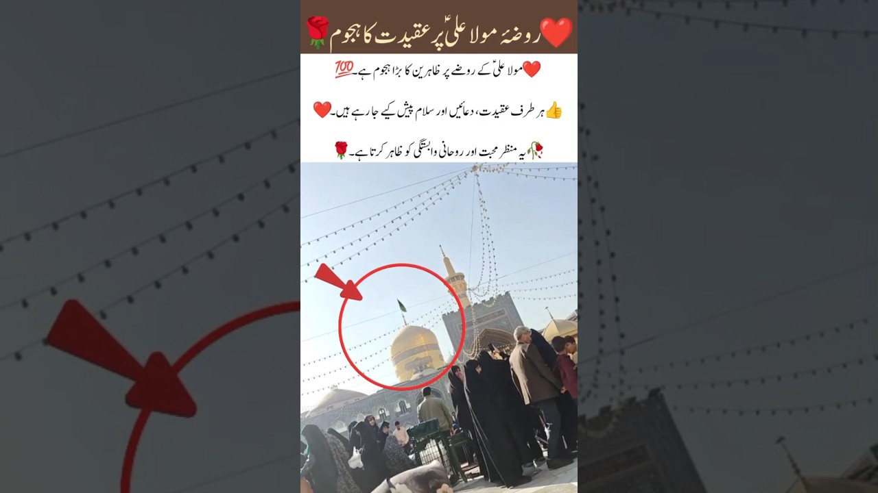 roza maula Ali alaihissalam 