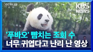 [글로벌K] 직접 죽순 캐고 신나서 철봉 운동까지…中 '조회수 폭발' 기록한 판다들 / KBS  2024.05.03.