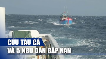 Hải quân vùng 3 cứu tàu cá và 5 ngư dân gặp nạn trong biển động