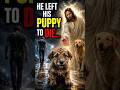 Don’t Skip This Puppy Story🥲#jesus #god #bible #christianity #love #jerusalem