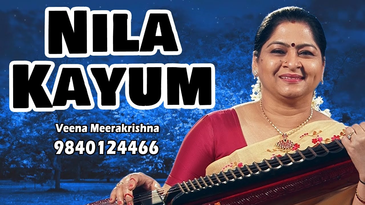 Nila Kaayum Neram Saranam        Film Instrumental by Veena Meerakrishna