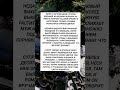 Муж и огород #историиизжизни #истории #муж #огород #подарок