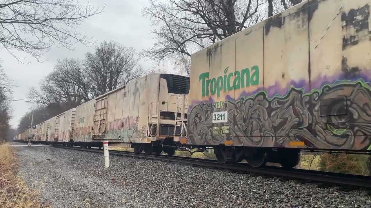 I036 @Lewis Lane, 1/10/26