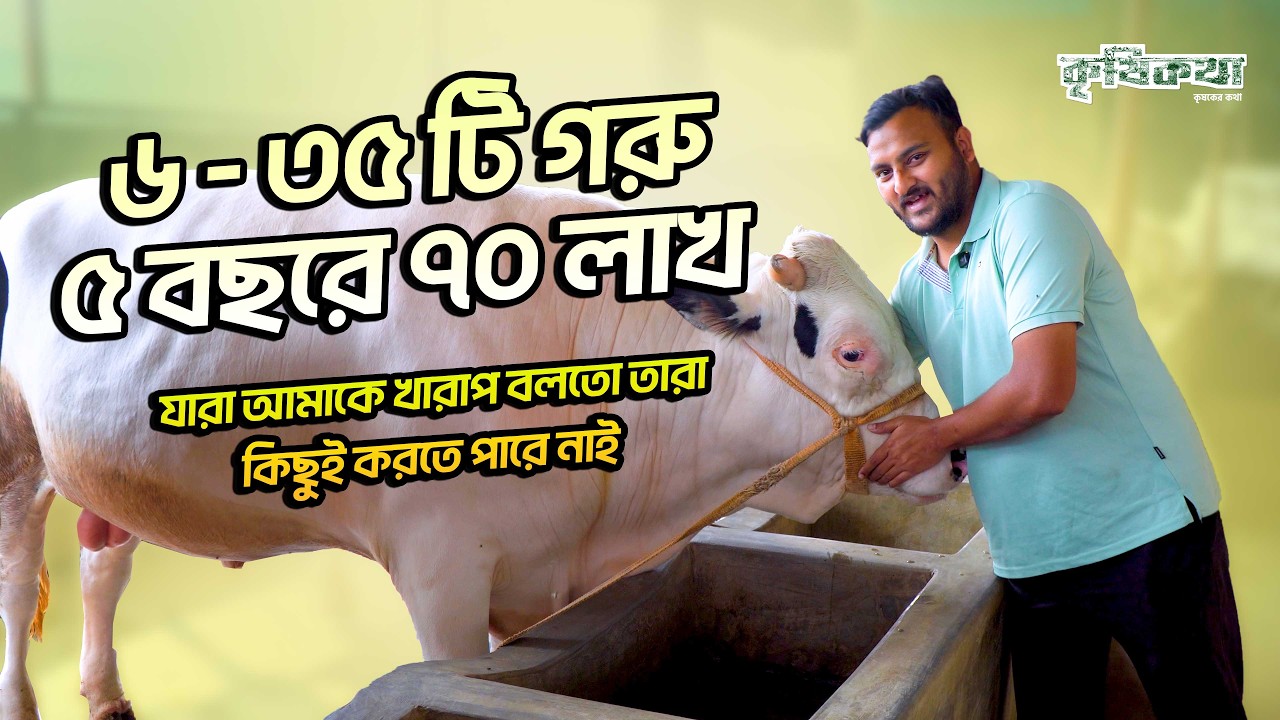৬ টি থেকে ৩৫ টি গরু প্রান্তিক খামারি। কৃষিকথা