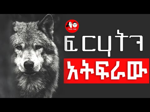 ሙሉ መፅሐፍ ፍርሃትህን አትፍራው Amharic Audio Books