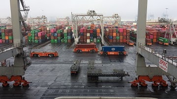 CONTAINER TERMINAL, ROTTERDAM PORT, UNMANNED TRUCKS 01