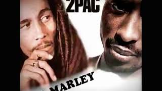 2pac ft Bob Marley - Could You Be Loved