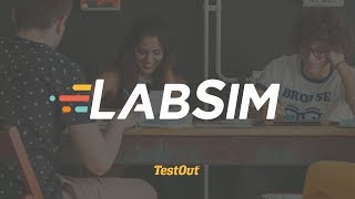 Famous LabSim - The Learning Platform for Real-World Experience Net Worth