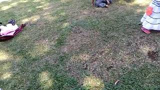 Taman Kota Tingkir Salatiga - Cari Teman