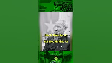 ĐIỀU GÌ KHIẾN BÁC HỒ LUÔN BẬT KHÓC KHI NHẮN TỚI… #bảocóc #bacho #bảocócvlog #baococvlogboss #shorts