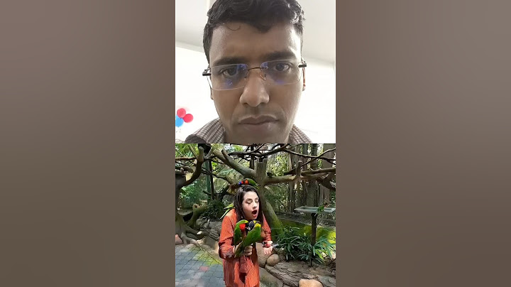 রিতুর বান্ধবীরা চলে আসছে MalaysiaParrot#short