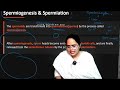 Gametogenesis in One Shot | Spermatogenesis + Oogenesis Full NCERT | NEET Biology