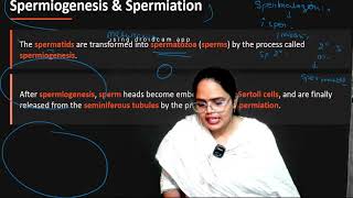Gametogenesis in One Shot | Spermatogenesis + Oogenesis Full NCERT | NEET Biology