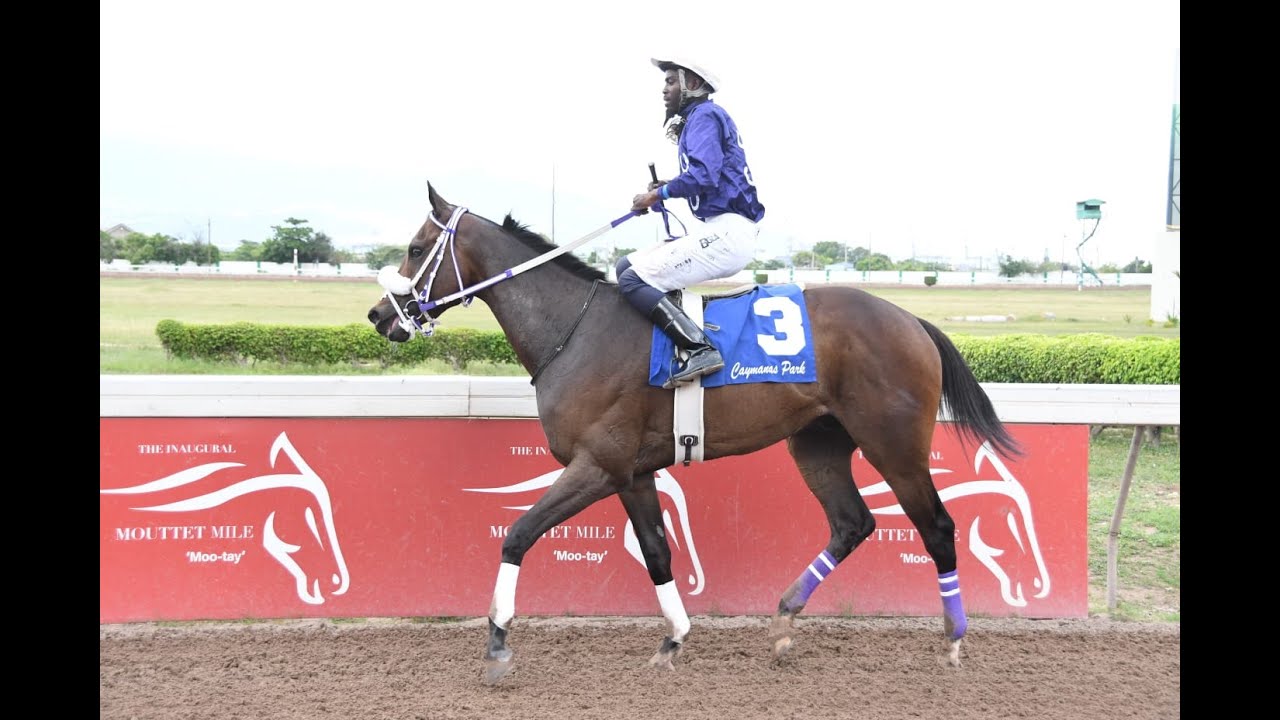 Заметная дебютная победа от «From Sheer To Ben»