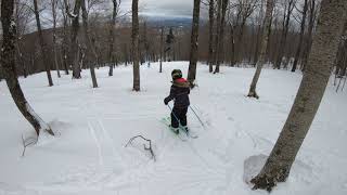 Emerald Forest Glade - Stratton - 3-23-2019