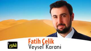 Fatih Çelik - Veysel Karani